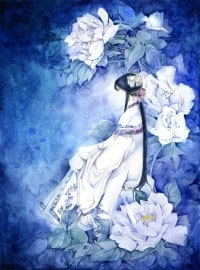 隔牆花